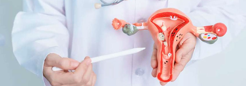 Gynecologic Oncology