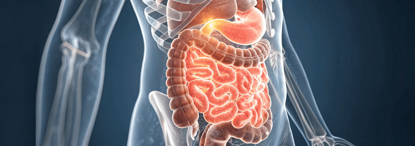 Peritoneal Surface Malignancies HIPEC